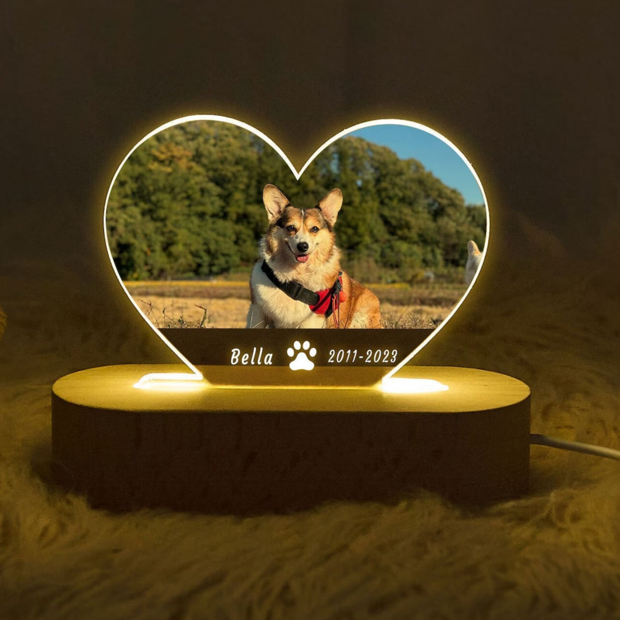 Lampe pet (photo personnalisée)
