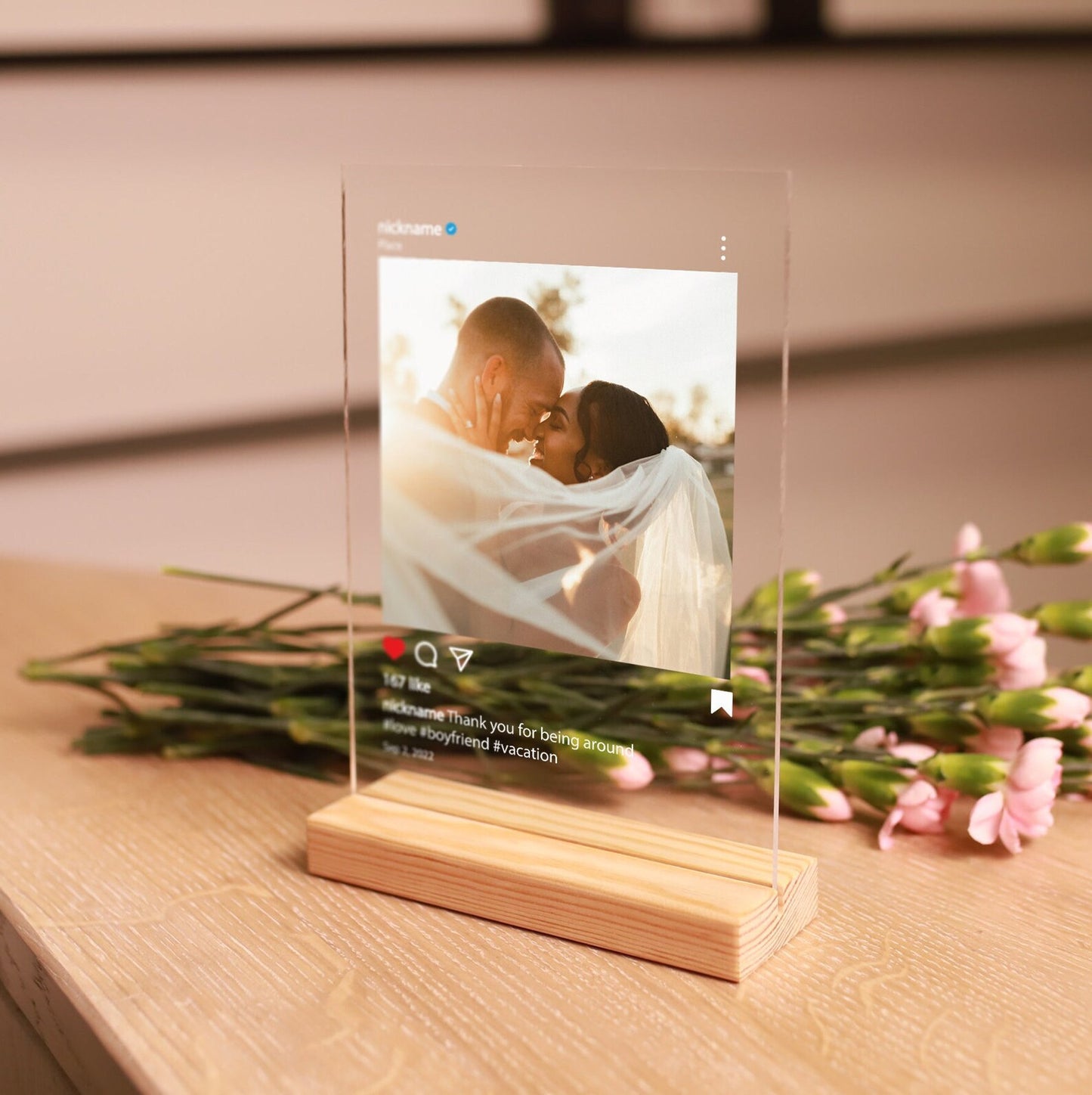 Plaque publication insta